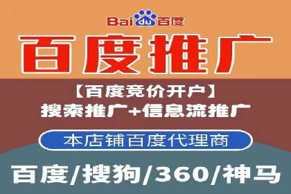 行业领先企业的网站sem托管实践